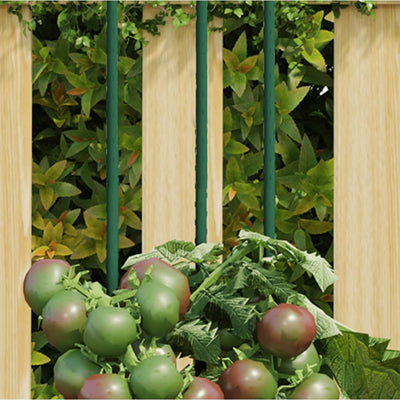 Vidaxl Plant Stakes 30 st 60 cm en acier vert