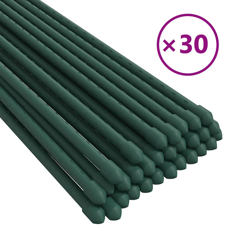 Vidaxl Plant Stakes 30 st 150 cm en acier vert