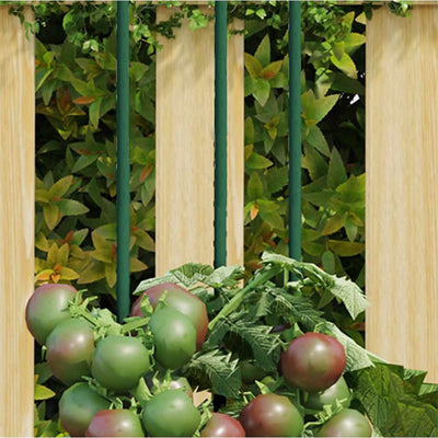 Vidaxl Plant Stakes 30 st 150 cm en acier vert
