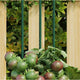 Vidaxl Plant Stakes 30 st 150 cm en acier vert