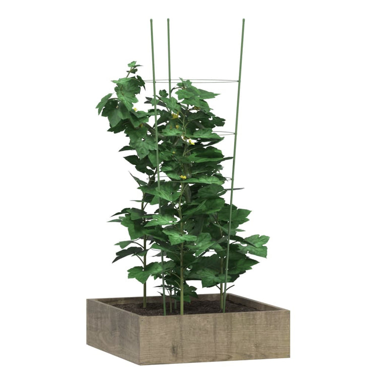 Vidaxl Plantrests 5 ST avec 4 anneaux 90 cm en acier vert