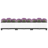Vidaxl Planter a augmenté de 120x40x23 cm en polypropène