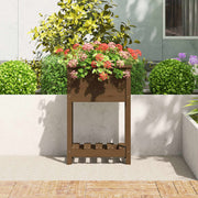 Planteur vidaxl avec étagère 54x34.5x81 cm - afbeelding 3