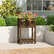 Planteur vidaxl avec étagère 54x34.5x81 cm - afbeelding 1