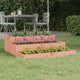 Jardinière Vidaxx 78x78x27 cm bois de Douglas massif