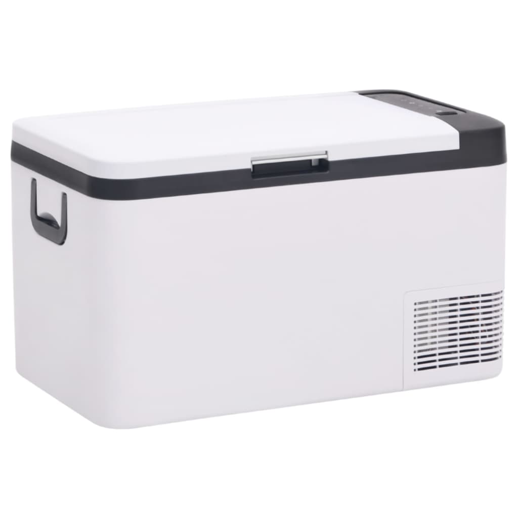 Vidaxl Cool Boîte avec poignée 25 L pp pe noir et blanc