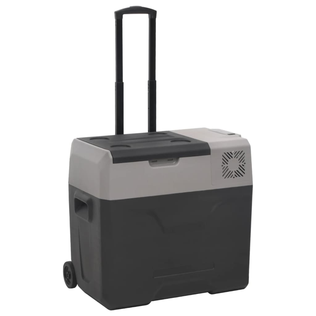 Vidaxl Cool Boîte avec roues et manipuler 50 L Polypropène noir et gris