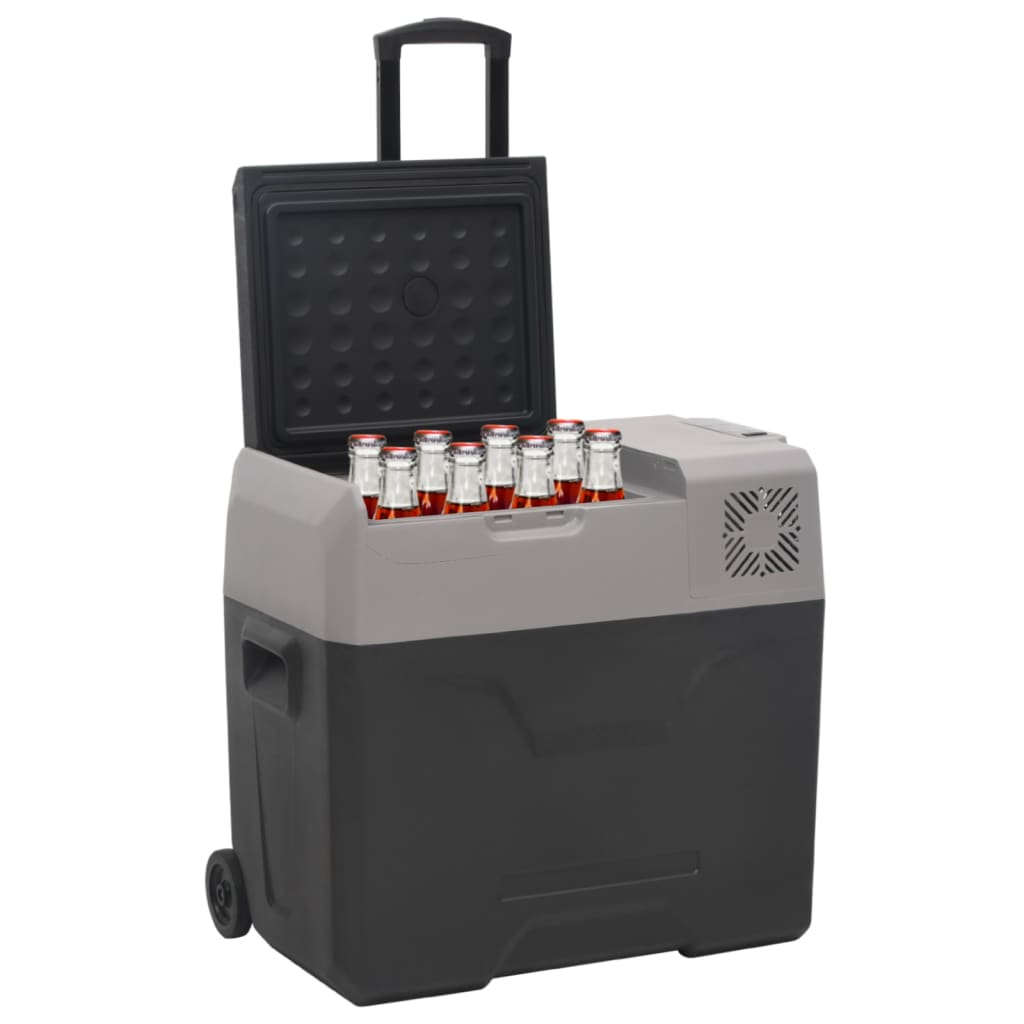 Vidaxl Cool Boîte avec roues et manipuler 50 L Polypropène noir et gris