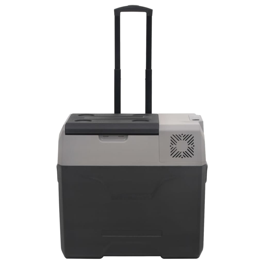 Vidaxl Cool Boîte avec roues et manipuler 50 L Polypropène noir et gris