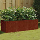 Vidaxl Planter surélevé 120x40x40 cm Corten Steel