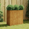 Boîte de planification Vidaxl 80x40x80 cm Corten Steel