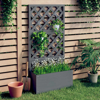 Jardoir Vidaxl avec latwerk 65x33x135 cm hkc