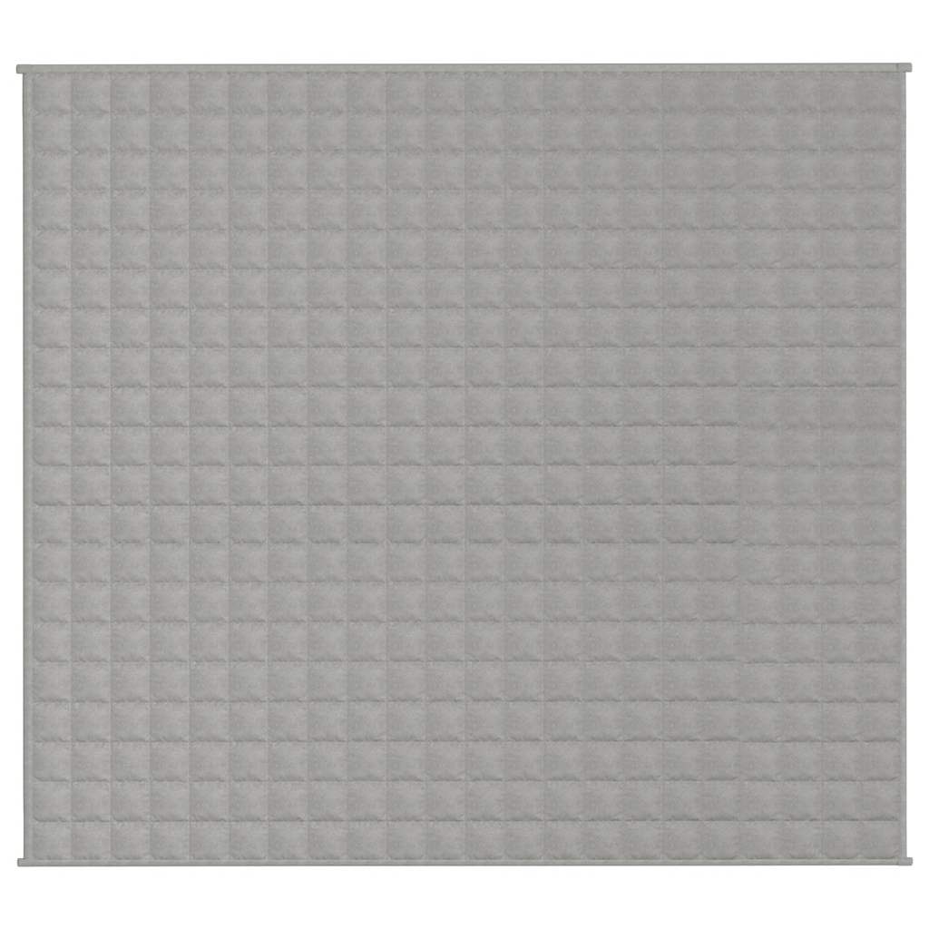 VIDAXL FAIBLAGE COUVERTURE 200X220 cm 13 kg de gris de tissu