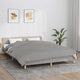 VIDAXL FAIBLAGE COUVERTURE 200X220 cm 13 kg de gris de tissu