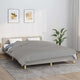 VIDAXL FAIBLAGE COUVERTURE 220X240 cm 15 kg de gris de tissu
