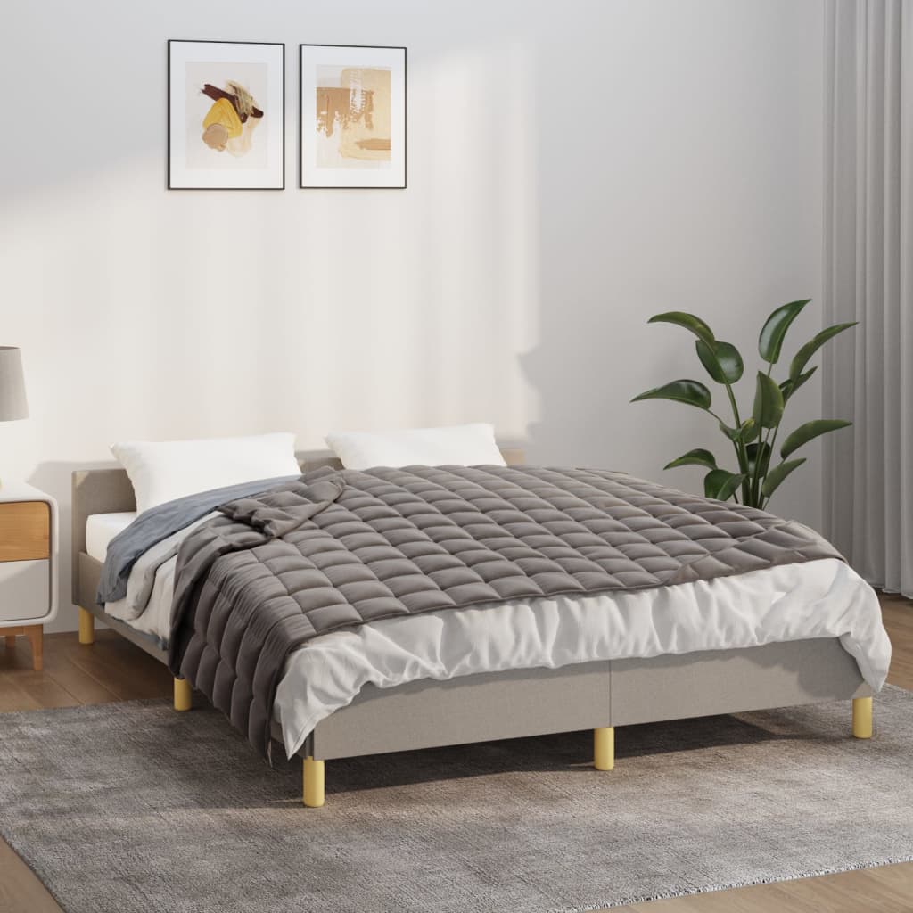 VIDAXL FAIBLAGE COUVERTURE 135x200 cm 6 kg de gris de tissu