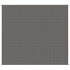VIDAXL FAIBLAGE COUVERTURE 200x220 cm 9 kg de gris de tissu