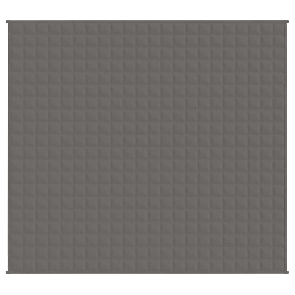 VIDAXL FAIBLAGE COUVERTURE 200x220 cm 9 kg de gris de tissu