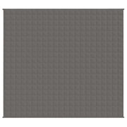 VIDAXL FAIBLAGE COUVERTURE 200X220 cm 13 kg de gris de tissu - afbeelding 3