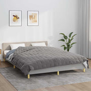 VIDAXL FAIBLAGE COUVERTURE 220X240 cm 11 kg tissu gris - afbeelding 1