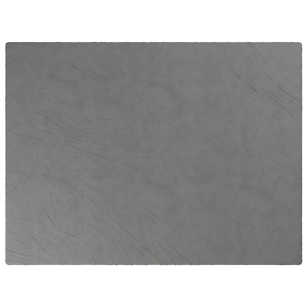 Couverture faible de Vidaxl avec couvercle 152x203 cm 11 kg de gris de tissu