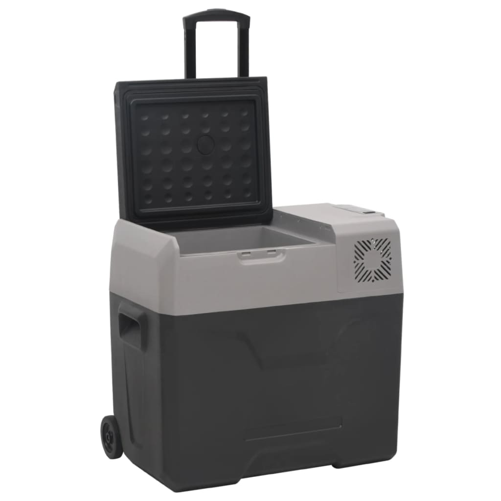 Vidaxl Cool Boîte avec roues et adaptateur 40 l en polypropène noir et gris