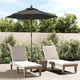 Vidaxl parasol avec poteau en bois 196x231 cm anthracite -colored