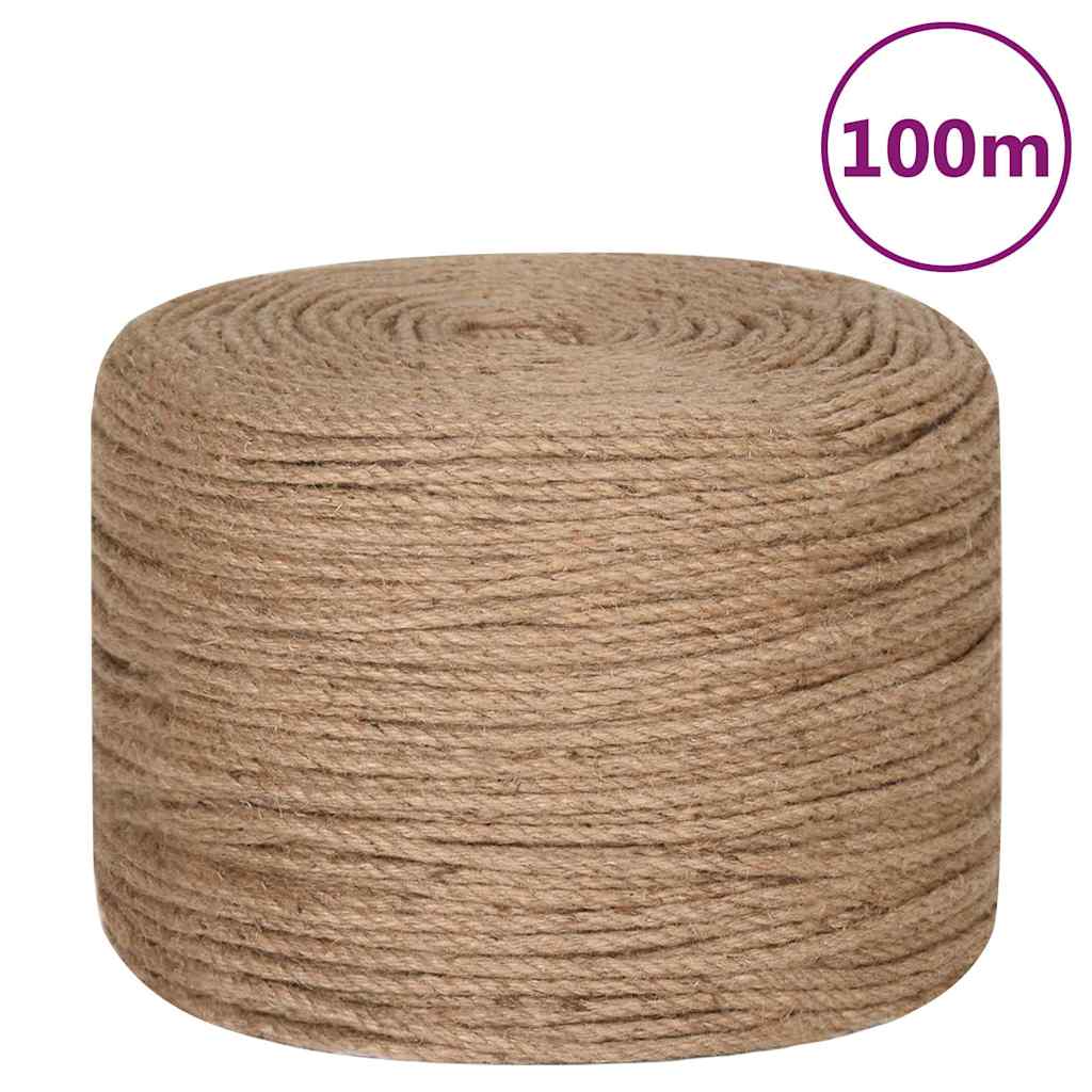 Corde Vidaxl 100 m de long 4 mm d'épaisseur