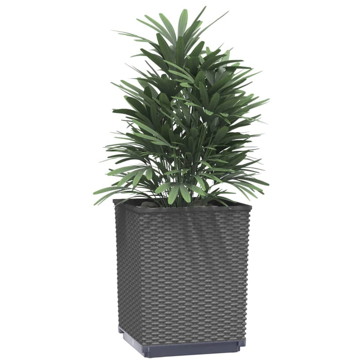 Vidaxx jardinières 4 pcs 30x30x37 cm polypropylène noir