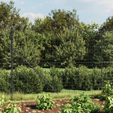 Vidaxl Fet Fet avec bride 2,2x25 M anthracite -colored - afbeelding 1