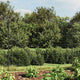 Vidaxl Fet Fet avec bride 1,4x10 m anthracite -colored