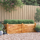 Vidaxl Planning Boîte relevée 160x60x44 cm en bois d'acacia solide