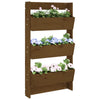 Vidaxl Planter Mur 3 couches 60x18.5x110 cm Brown de miel en bois de pin