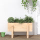 Vidaxx jardinière 62x30x38 cm bois de pin massif