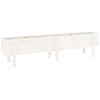 Vidaxl Planter surélevé 160x30x38 cm en pin massif blanc