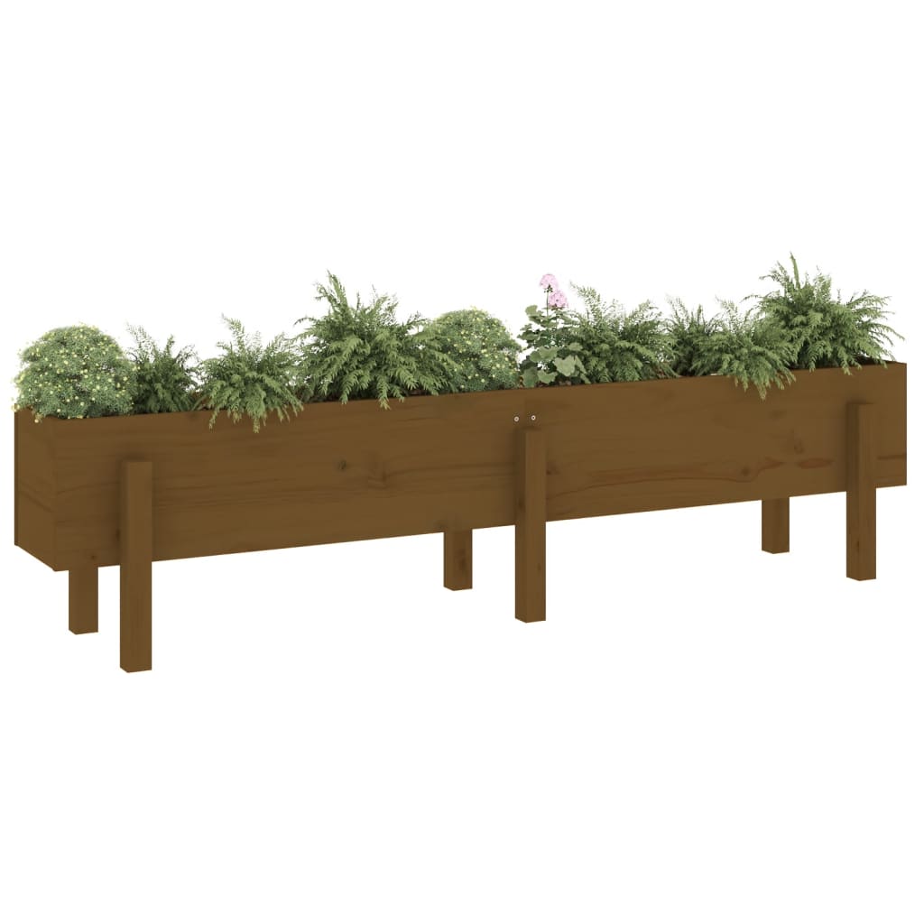 Vidaxl Planter surélevé 160x30x38 cm
