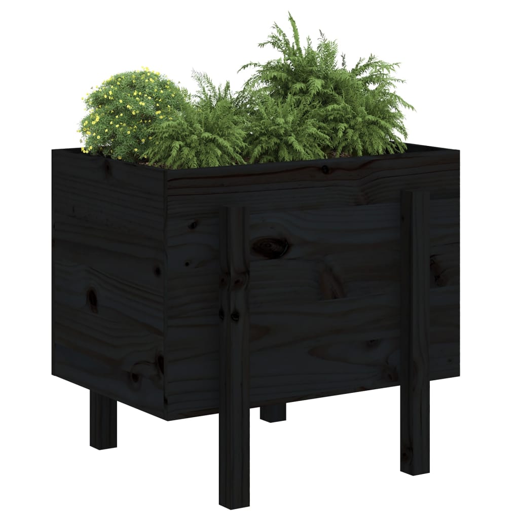 Vidaxl Planning Box 62x50x57 cm Pine solide noir