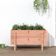 Vidaxl Planter surélevé 101x50x57 cm Douglashout solide