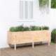 Vidaxl Planter surélevé 160x50x57 cm