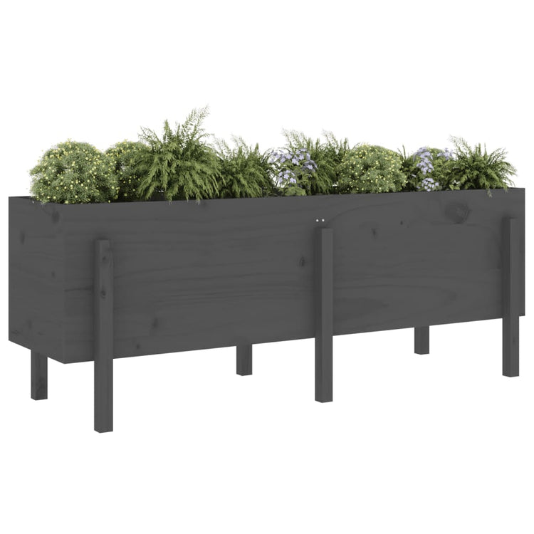 Vidaxl Planter surélevé 160x50x57 cm en pin massif gris