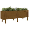 Vidaxl Planter surélevé 160x50x57 cm