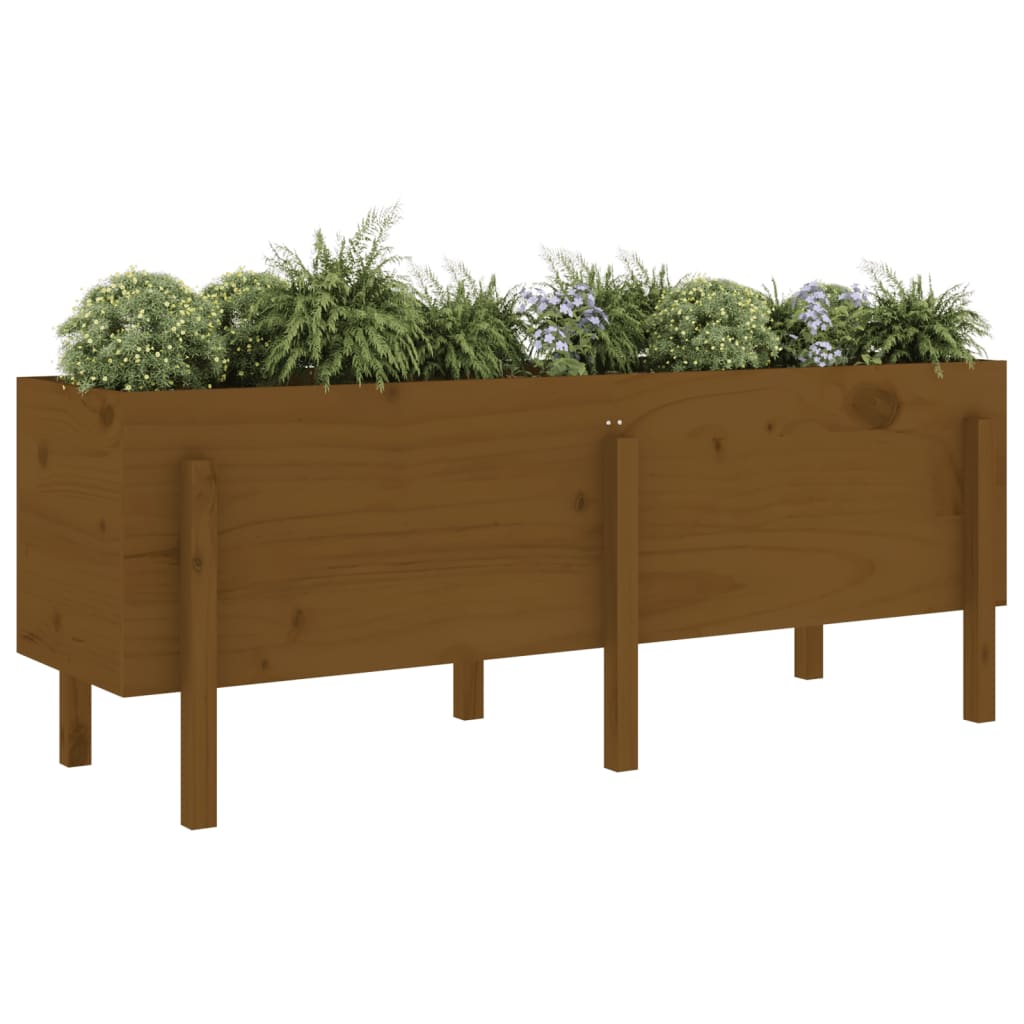 Vidaxl Planter surélevé 160x50x57 cm