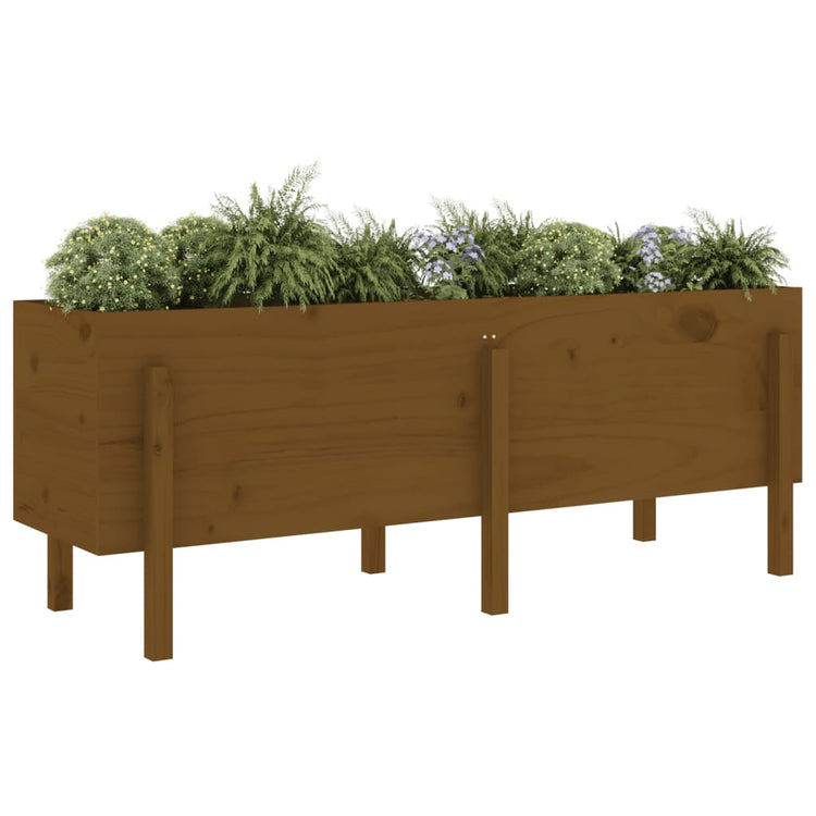 Vidaxl Planter surélevé 160x50x57 cm