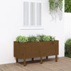 Vidaxl Planter surélevé 121x50x57 cm