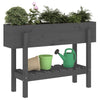Vidaxl Planter surélevé 101x30x69 cm en pin solide gris