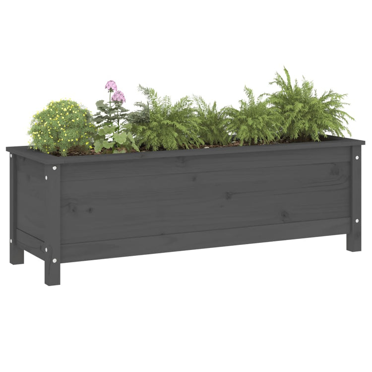 Vidaxl Planter élevé 119.5x40x39 cm en pin solide gris