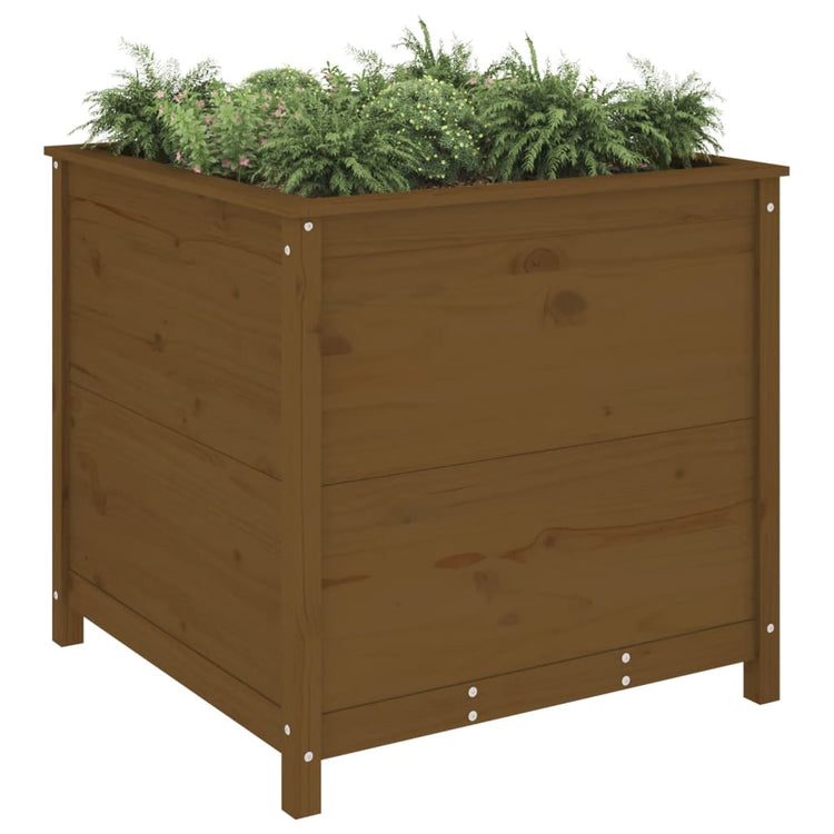Vidaxl Planning Boîte 82.5x82.5x78 cm Brown de miel de pin massif