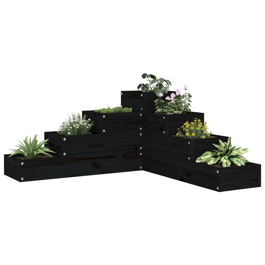 Boîte de planification Vidaxl 4 couches 80.5x79x36 cm Bois de pin massif noir