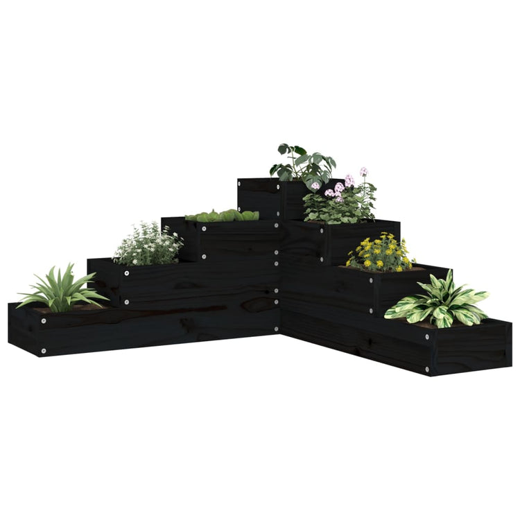Boîte de planification Vidaxl 4 couches 80.5x79x36 cm Bois de pin massif noir