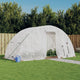 Vidaxl tuinkas avec cadre en acier 10 m² 5x2x2,3 m